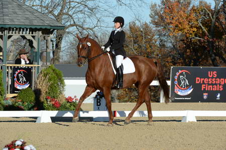 HHB-DressageFinals-11-9-13-2285-DDeRosaPhoto