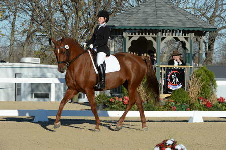 HHB-DressageFinals-11-9-13-2286-DDeRosaPhoto