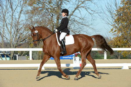 HHB-DressageFinals-11-9-13-2289-DDeRosaPhoto