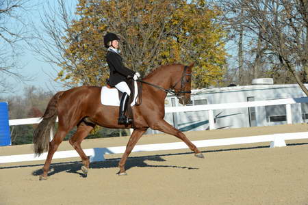 HHB-DressageFinals-11-9-13-2292-DDeRosaPhoto