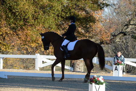 HHB-DressageFinals-11-9-13-2297-DDeRosaPhoto