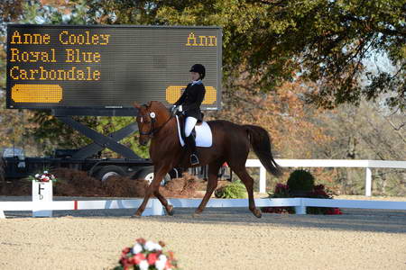 HHB-DressageFinals-11-9-13-2300-DDeRosaPhoto