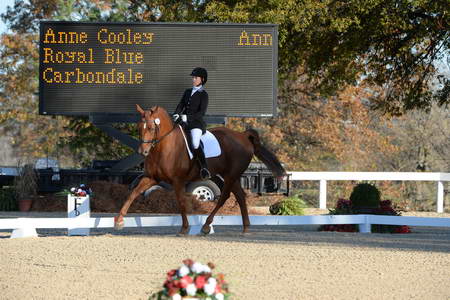 HHB-DressageFinals-11-9-13-2301-DDeRosaPhoto