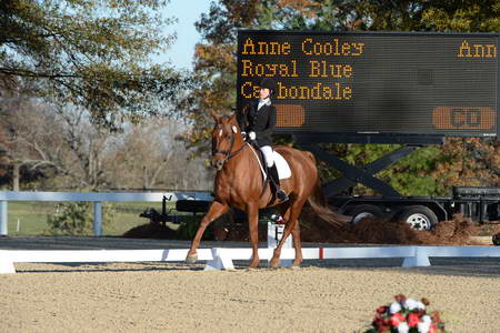 HHB-DressageFinals-11-9-13-2303-DDeRosaPhoto