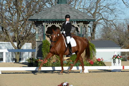 HHB-DressageFinals-11-9-13-2311-DDeRosaPhoto