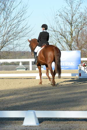 HHB-DressageFinals-11-9-13-2318-DDeRosaPhoto