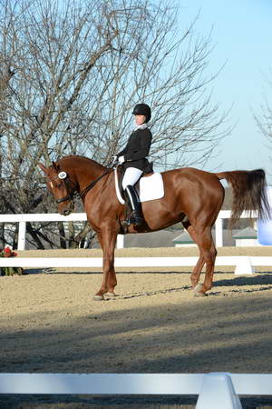 HHB-DressageFinals-11-9-13-2322-DDeRosaPhoto