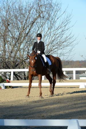 HHB-DressageFinals-11-9-13-2324-DDeRosaPhoto