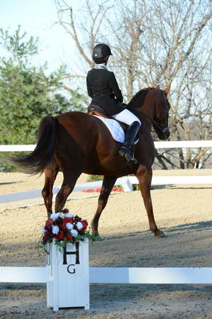 HHB-DressageFinals-11-9-13-2326-DDeRosaPhoto