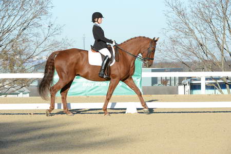 HHB-DressageFinals-11-9-13-2327-DDeRosaPhoto