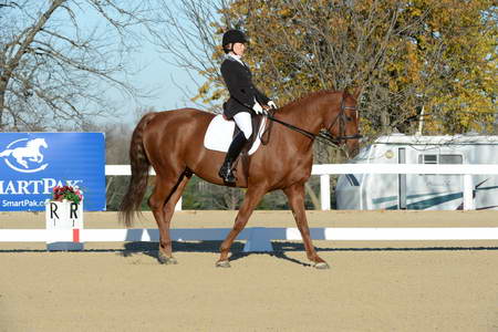 HHB-DressageFinals-11-9-13-2329-DDeRosaPhoto