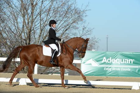 HHB-DressageFinals-11-9-13-2350-DDeRosaPhoto