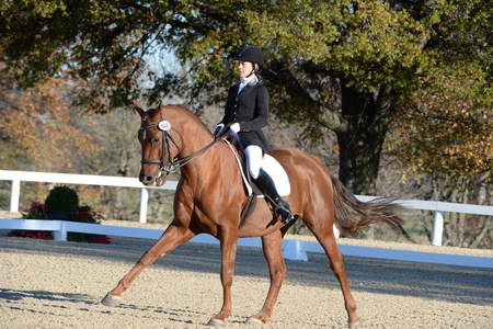 HHB-DressageFinals-11-9-13-2361-DDeRosaPhoto