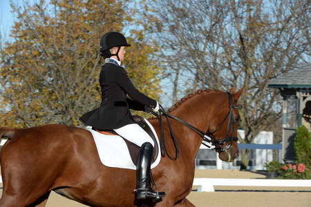 HHB-DressageFinals-11-9-13-2370-DDeRosaPhoto