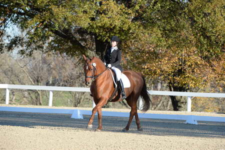 HHB-DressageFinals-11-9-13-2371-DDeRosaPhoto