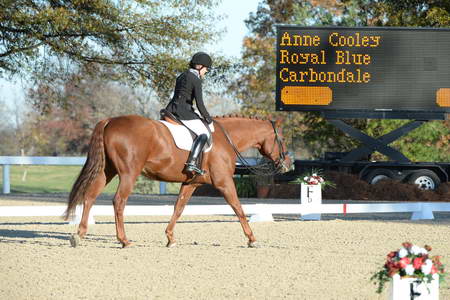 HHB-DressageFinals-11-9-13-2394-DDeRosaPhoto