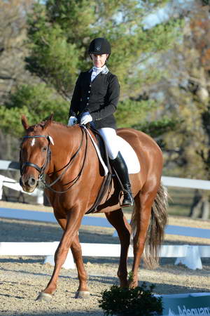 HHB-DressageFinals-11-9-13-2397-DDeRosaPhoto