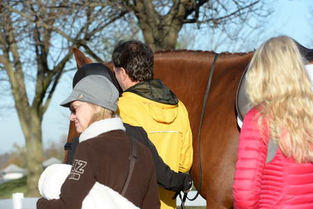 HHB-DressageFinals-11-9-13-2454-DDeRosaPhoto