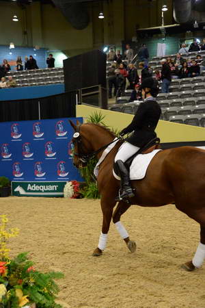 HHB-DressageFinals-11-9-13-2523-DDeRosaPhoto