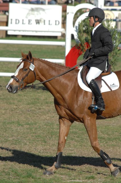 385-WEF-2-18-07-DeRosaPhoto.JPG