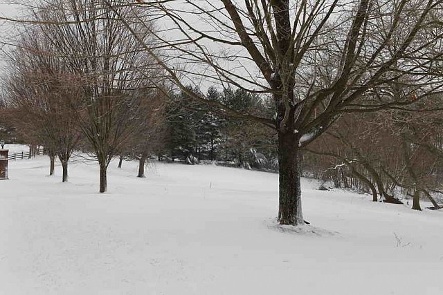 31 Fort Hill-12-17-2020-Snowstorm--0056-DDeRosaPhoto