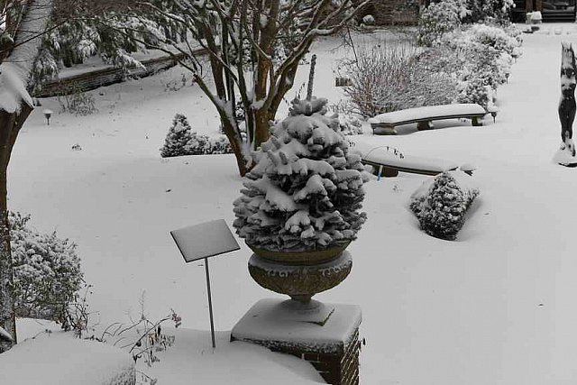 31 Fort Hill-12-17-2020-Snowstorm--0160-DDeRosaPhoto