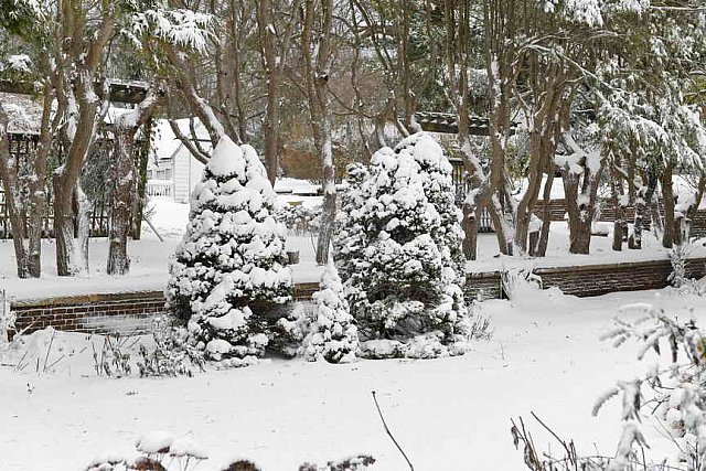 31 Fort Hill-12-17-2020-Snowstorm--0178-DDeRosaPhoto