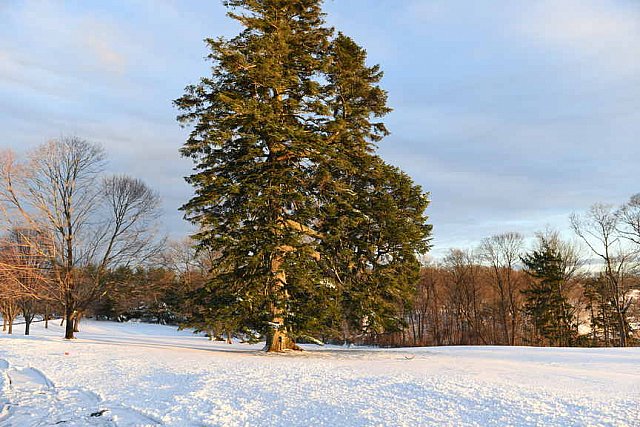 31 Fort Hill-12-17-2020-Snowstorm--0294-DDeRosaPhoto