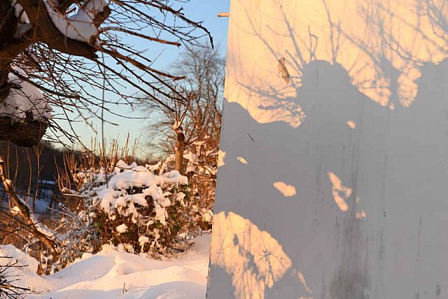 31 Fort Hill-12-17-2020-Snowstorm--0326-DDeRosaPhoto