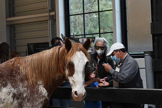 MUSTANG-10-11-21-5527-DDeRosaPhoto