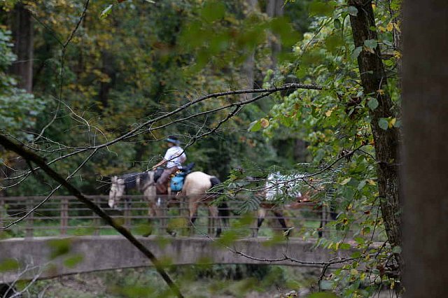 MUSTANG-10-12-21-2795-DDeRosaPhoto