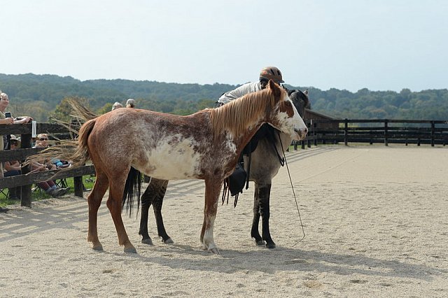 MUSTANG-HANNAH DEMO-10-15-21-2964-DDeRosaPhoto