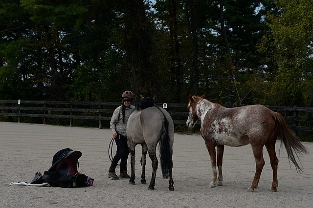 MUSTANG-HANNAH DEMO-10-15-21-2984-DDeRosaPhoto