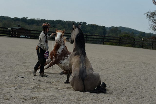 MUSTANG-HANNAH DEMO-10-15-21-3002-DDeRosaPhoto