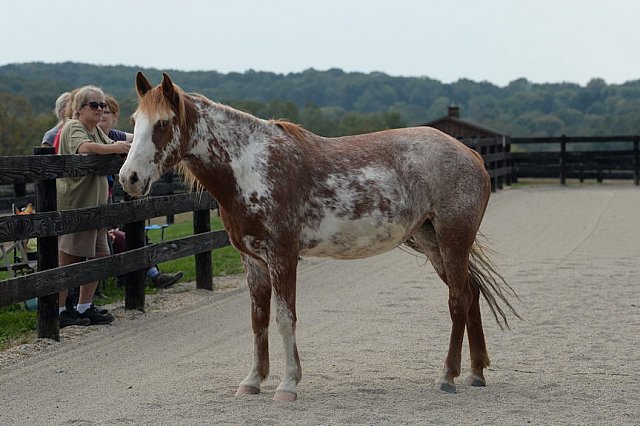 MUSTANG-HANNAH DEMO-10-15-21-3020-DDeRosaPhoto