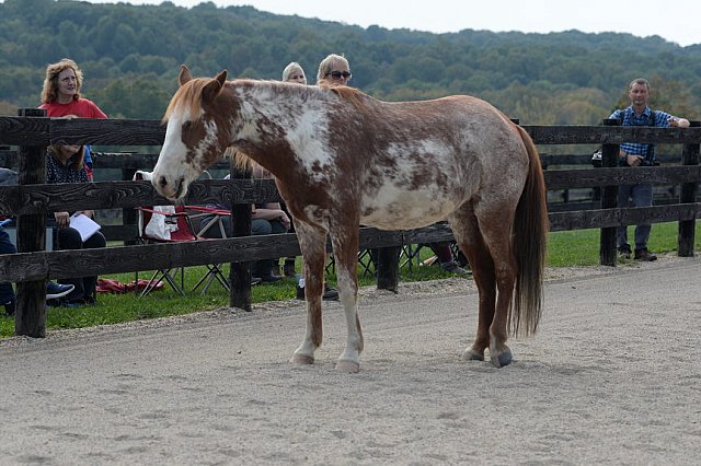 MUSTANG-HANNAH DEMO-10-15-21-3037-DDeRosaPhoto