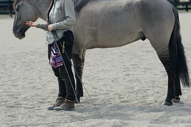 MUSTANG-HANNAH DEMO-10-15-21-3041-DDeRosaPhoto