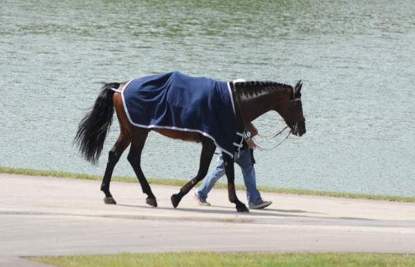 0857-NAJYRC-7-26-09-Misc-DDeRosaPhoto.jpg