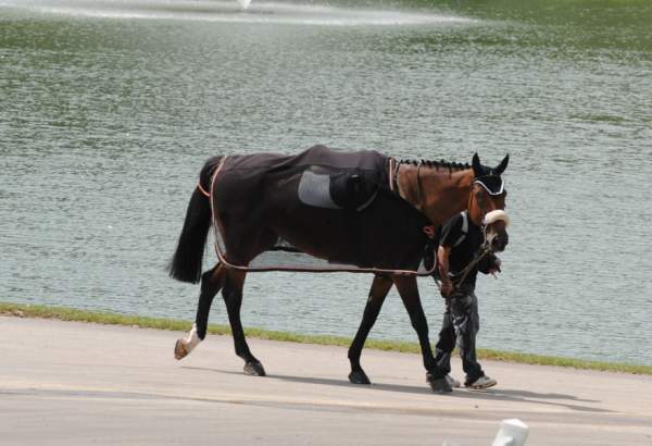 0860-NAJYRC-7-26-09-Misc-DDeRosaPhoto.jpg