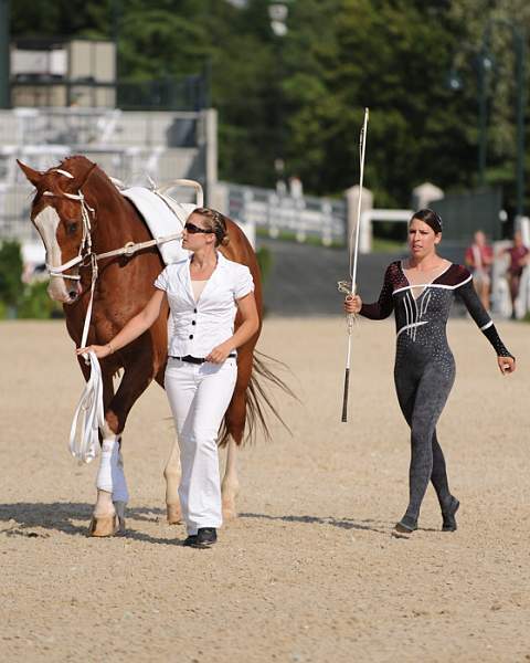 0890-NAJYRC-7-26-09-Vaulting-DDeRosaPhoto.jpg