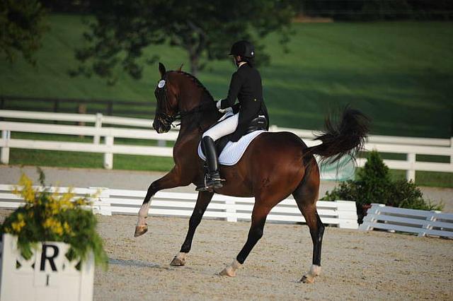 NAJYRC-7-30-11-DR-Freestyle-7671-BrynCahill-BonRenoir-DDeRosaPhoto.JPG