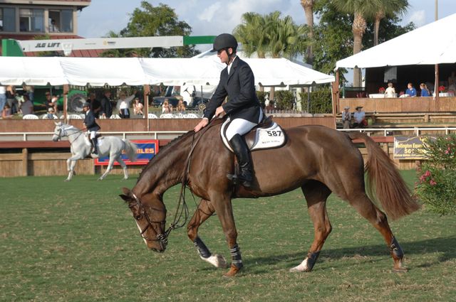 1278-McLainWard-Sapphire-12-3-06-&copy;DeRosaPhoto.jpg