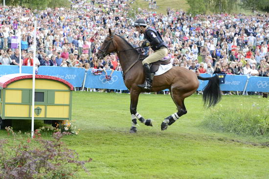 Olympics-EV-XC-7-30-12-6628-MarkTodd-Campino-NZL-DDeRosaPhoto