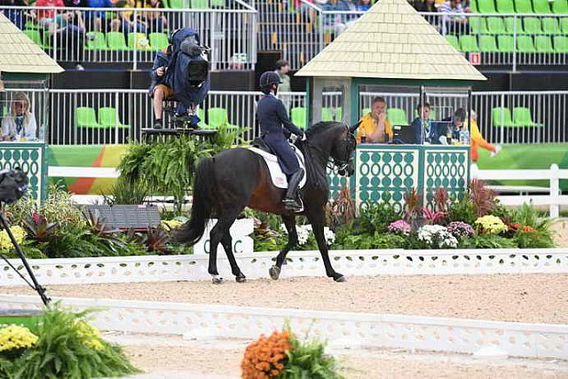 Olympics-RIO-DRE-GP-8-9-16-2704-AlisonBrock-Rosevelt-USA-DDeRosaPhoto - Copy