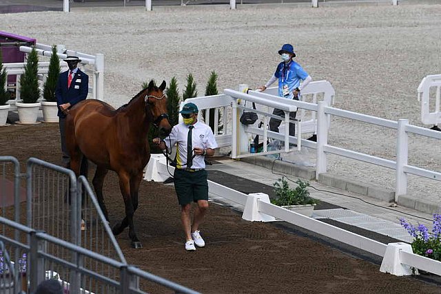 OLY-2020-DRESSAGE-JOG-7-24-21-0718-101-Mary Hanna-Calanta-AUS-DDEROSAPHOTO 2