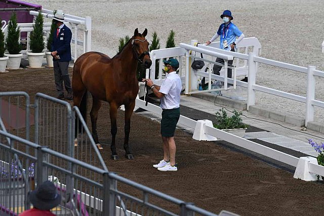 OLY-2020-DRESSAGE-JOG-7-24-21-0719-101-Mary Hanna-Calanta-AUS-DDEROSAPHOTO