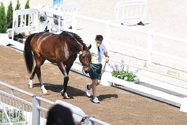 OLY-2020-DRESSAGE-JOG-7-24-21-0724-102-KELLY LAYNE-SAMHITAS-AUS-DDEROSAPHOTO