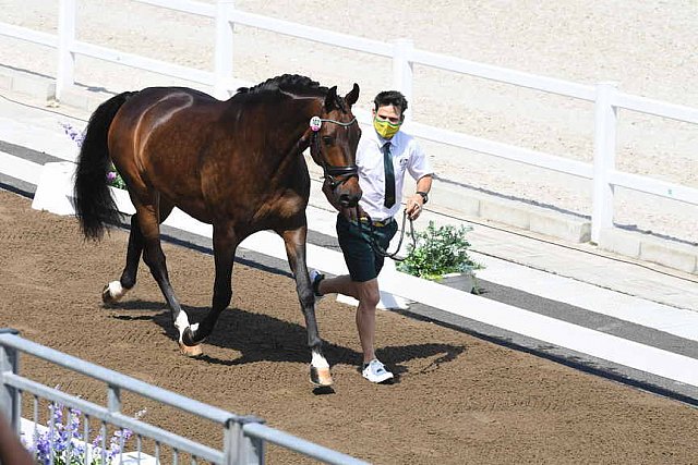 OLY-2020-DRESSAGE-JOG-7-24-21-0725-102-KELLY LAYNE-SAMHITAS-AUS-DDEROSAPHOTO