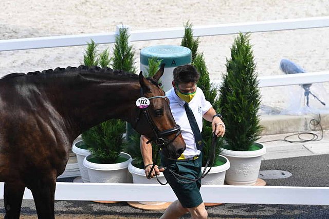 OLY-2020-DRESSAGE-JOG-7-24-21-0727-102-KELLY LAYNE-SAMHITAS-AUS-DDEROSAPHOTO