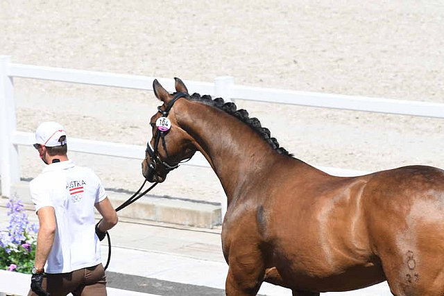 OLY-2020-DRESSAGE-JOG-7-24-21-0741-104-FLORIAN BACHER-FIDERTRAUM-AUT-DDEROSAPHOTO